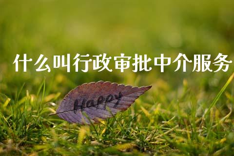 什么叫行政审批中介服务_https://wap.letulww.com_融资租赁_第1张