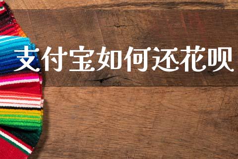 支付宝如何还花呗_https://wap.letulww.com_融资租赁_第1张