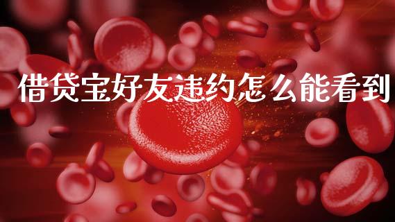 借贷宝好友违约怎么能看到_https://wap.letulww.com_融资租赁_第1张