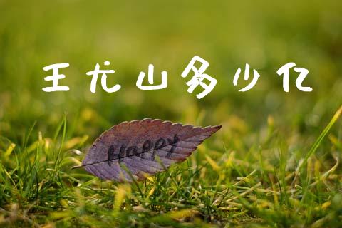 王尤山多少亿_https://wap.letulww.com_投资策略_第1张
