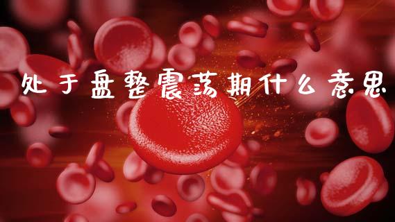 处于盘整震荡期什么意思_https://wap.letulww.com_融资租赁_第1张