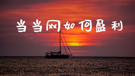 当当网如何盈利_https://wap.letulww.com_投资策略_第1张