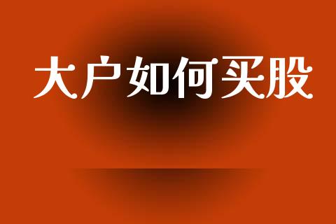 大户如何买股_https://wap.letulww.com_融资租赁_第1张