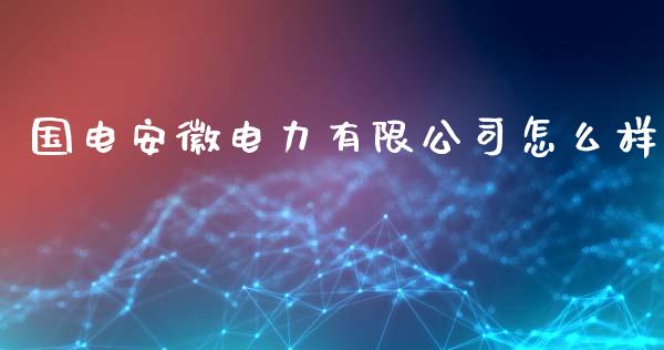 国电安徽电力有限公司怎么样_https://wap.letulww.com_投资策略_第1张