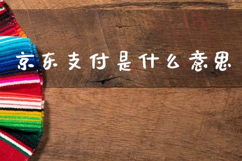 京东支付是什么意思_https://wap.letulww.com_外汇交易_第1张