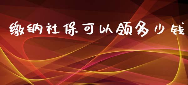 缴纳社保可以领多少钱_https://wap.letulww.com_外汇交易_第1张
