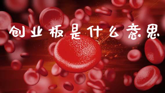 创业板是什么意思_https://wap.letulww.com_外汇交易_第1张