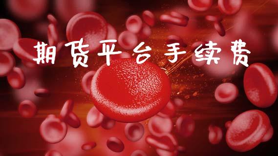 期货平台手续费_https://wap.letulww.com_投资管理_第1张