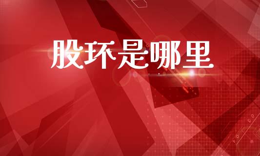 股环是哪里_https://wap.letulww.com_投资策略_第1张