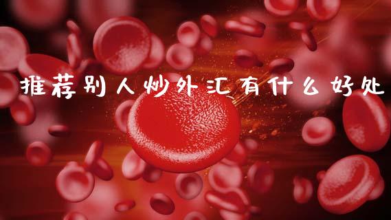 推荐别人炒外汇有什么好处_https://wap.letulww.com_外汇交易_第1张