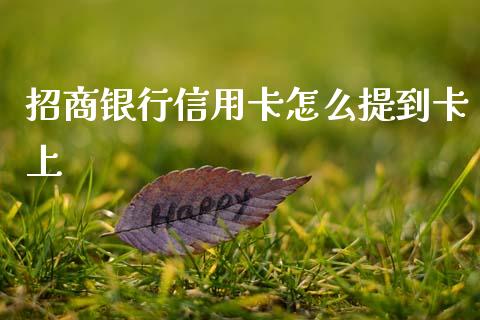 招商银行信用卡怎么提到卡上_https://wap.letulww.com_投资管理_第1张