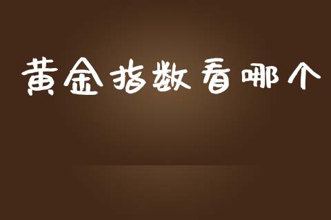 黄金指数看哪个_融资租赁_第1张_外汇交易_投资策略_融资租赁_投资管理 黄金指数看哪个_https://wap.letulww.com_融资租赁_第1张