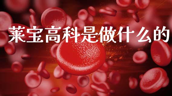 莱宝高科是做什么的_https://wap.letulww.com_外汇交易_第1张