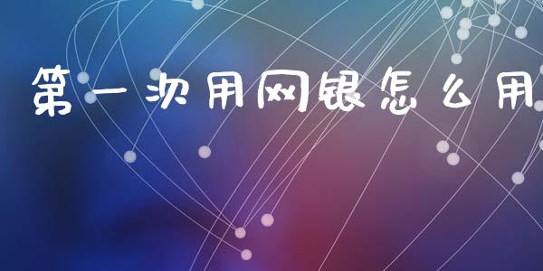 第一次用网银怎么用_https://wap.letulww.com_融资租赁_第1张