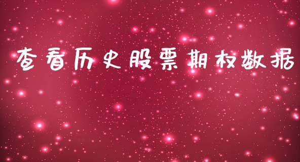 查看历史股票期权数据_https://wap.letulww.com_投资管理_第1张