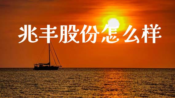 兆丰股份怎么样_https://wap.letulww.com_融资租赁_第1张