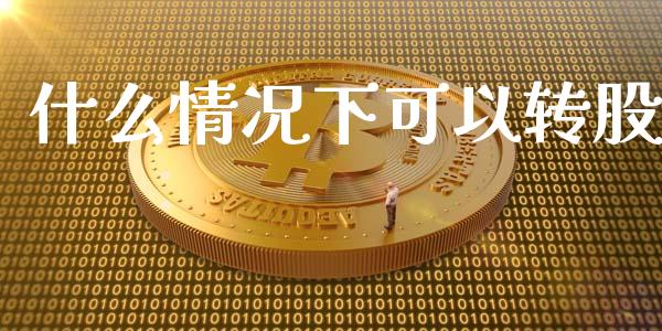 什么情况下可以转股_https://wap.letulww.com_投资管理_第1张