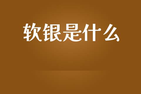 软银是什么_https://wap.letulww.com_外汇交易_第1张