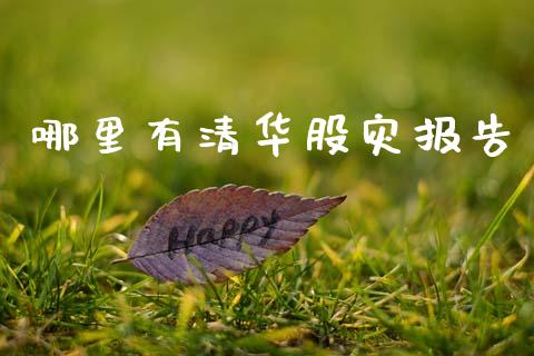 哪里有清华股灾报告_https://wap.letulww.com_投资策略_第1张