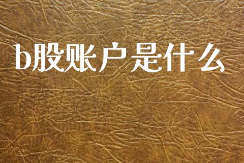 b股账户是什么_https://wap.letulww.com_外汇交易_第1张