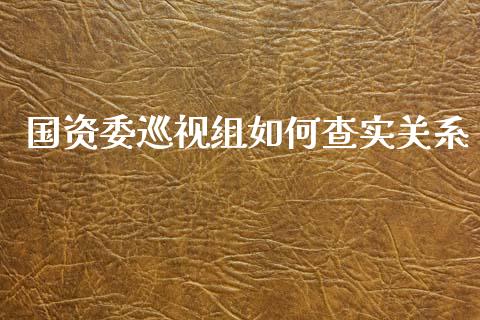 国资委巡视组如何查实关系_https://wap.letulww.com_投资管理_第1张