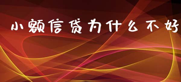 小额信贷为什么不好_https://wap.letulww.com_外汇交易_第1张