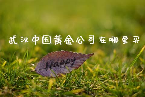 武汉中国黄金公司在哪里买_https://wap.letulww.com_外汇交易_第1张