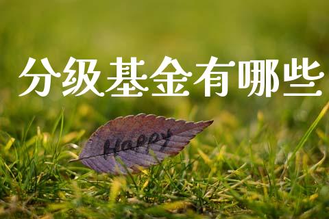 分级基金有哪些_https://wap.letulww.com_外汇交易_第1张