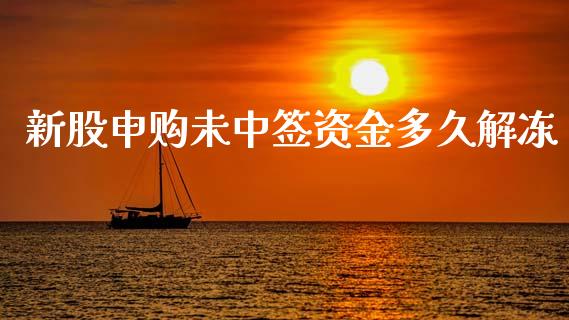 新股申购未中签资金多久解冻_https://wap.letulww.com_投资策略_第1张