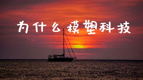 为什么模塑科技_https://wap.letulww.com_融资租赁_第1张
