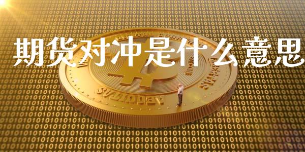 期货对冲是什么意思_https://wap.letulww.com_外汇交易_第1张