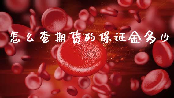 怎么查期货的保证金多少_https://wap.letulww.com_投资策略_第1张