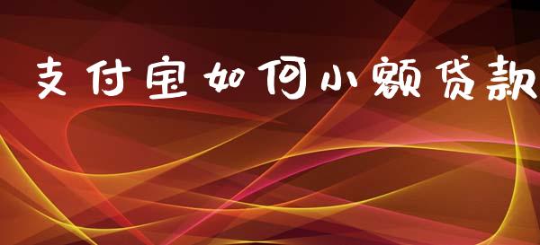 支付宝如何小额贷款_https://wap.letulww.com_外汇交易_第1张