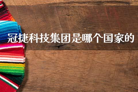 冠捷科技集团是哪个国家的_https://wap.letulww.com_投资管理_第1张