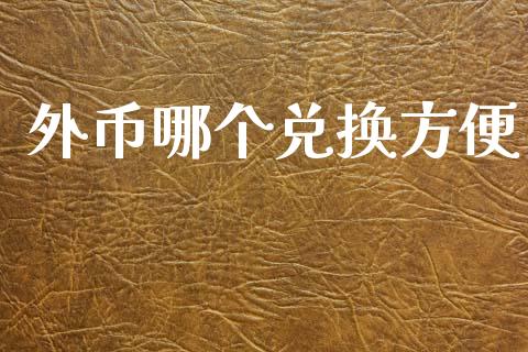 外币哪个兑换方便_https://wap.letulww.com_外汇交易_第1张