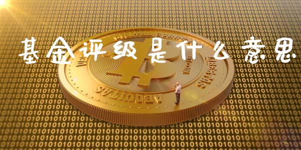 基金评级是什么意思_https://wap.letulww.com_投资策略_第1张