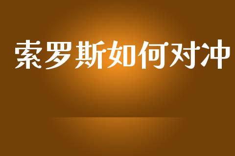 索罗斯如何对冲_https://wap.letulww.com_投资策略_第1张