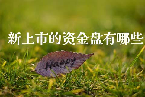 新上市的资金盘有哪些_https://wap.letulww.com_投资管理_第1张