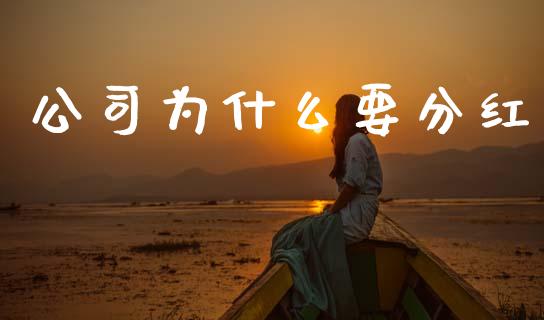 公司为什么要分红_https://wap.letulww.com_外汇交易_第1张