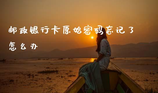 邮政银行卡原始密码忘记了怎么办_https://wap.letulww.com_融资租赁_第1张