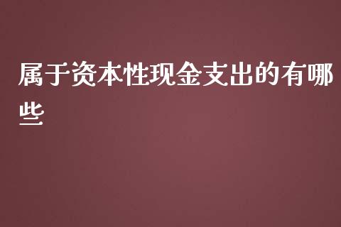 属于资本性现金支出的有哪些_https://wap.letulww.com_外汇交易_第1张