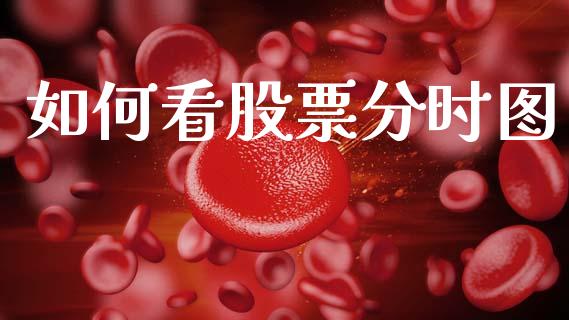 如何看股票分时图_https://wap.letulww.com_投资管理_第1张