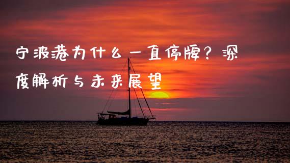 宁波港为什么一直停牌？深度解析与未来展望_https://wap.letulww.com_投资策略_第1张