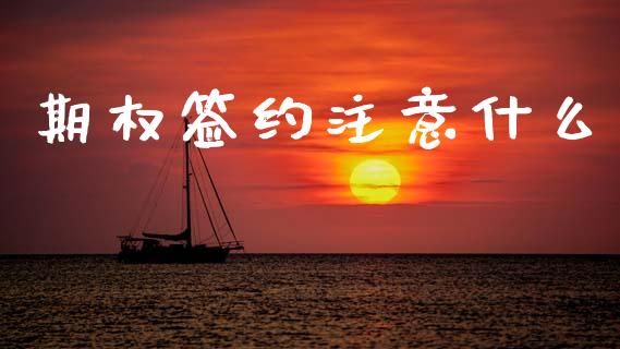 期权签约注意什么_投资策略_第1张_外汇交易_投资策略_融资租赁_投资管理 期权签约注意什么_https://wap.letulww.com_投资策略_第1张