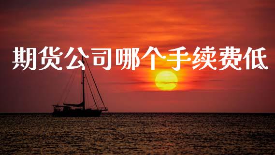 期货公司哪个手续费低_https://wap.letulww.com_融资租赁_第1张
