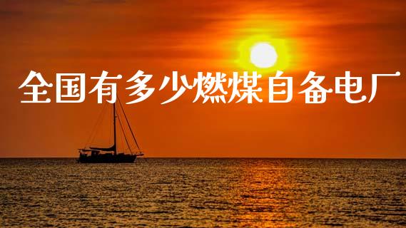全国有多少燃煤自备电厂_https://wap.letulww.com_投资管理_第1张