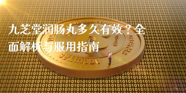 九芝堂润肠丸多久有效？全面解析与服用指南_https://wap.letulww.com_融资租赁_第1张
