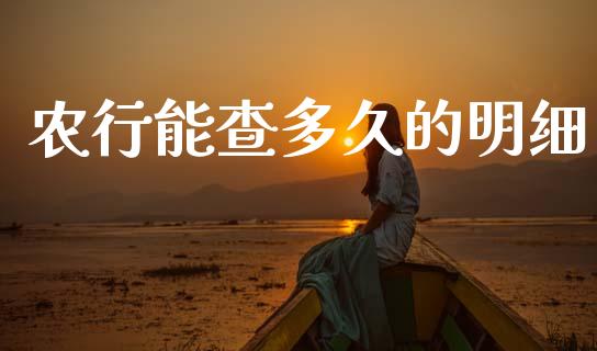 农行能查多久的明细_https://wap.letulww.com_投资策略_第1张