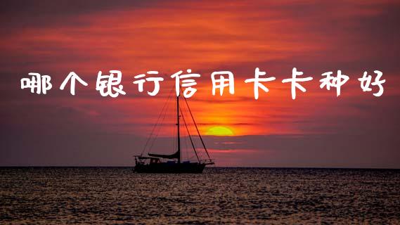 哪个银行信用卡卡种好_https://wap.letulww.com_外汇交易_第1张