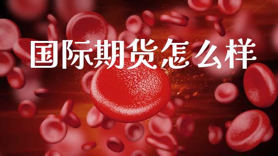 国际期货怎么样_投资管理_第1张_外汇交易_投资策略_融资租赁_投资管理 国际期货怎么样_https://wap.letulww.com_投资管理_第1张